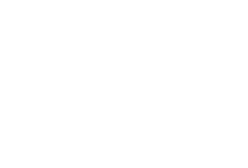 The Majestic logo in white