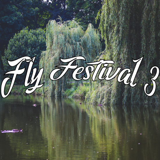 Fly Festival 3