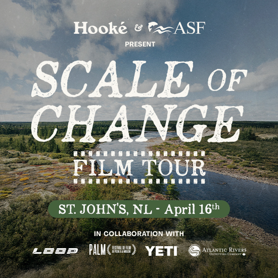 Scale of Change Film Tour Scale of Change Film Tour